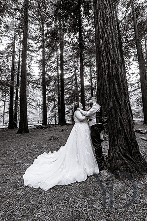 Courtney & Dan Two Woods wedding- 339