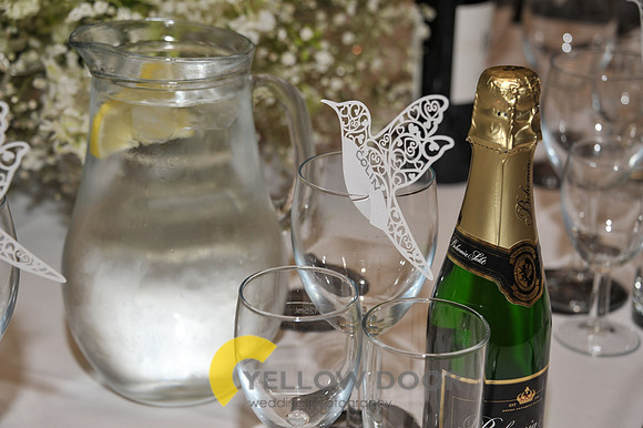 Michaela and Colins Wedding-340