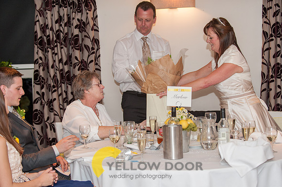 Michelle-David-Lambert-Arms-Wedding-0317