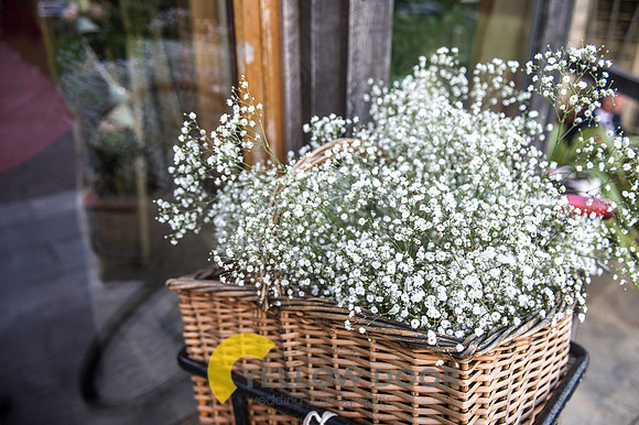 Fullers Flowers-0010