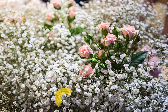 Fullers Flowers-0016