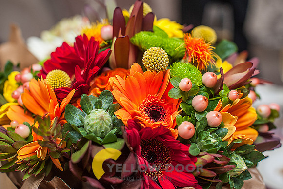 Fullers Flowers- 021