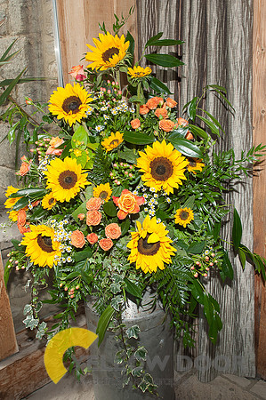 Fullers Flowers- 037