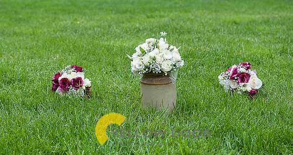 Fullers Flowers- 040