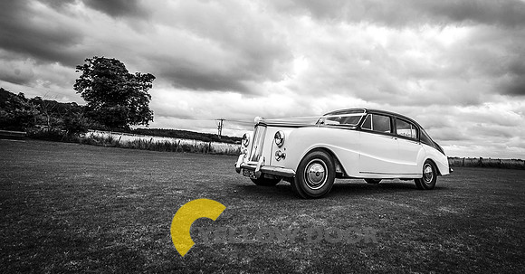 The Wedding Carriage 007