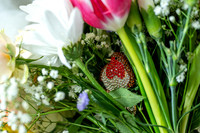 Katherine & Darrens wedding-11