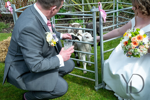 Katherine & Darrens wedding-208