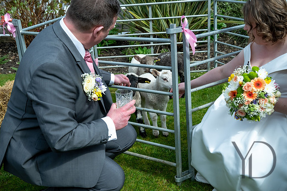 Katherine & Darrens wedding-209