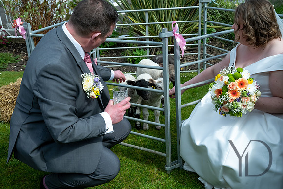 Katherine & Darrens wedding-210
