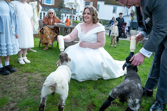Katherine & Darrens wedding-244