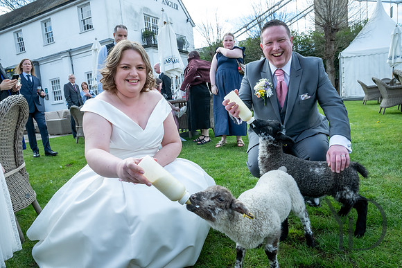Katherine & Darrens wedding-246
