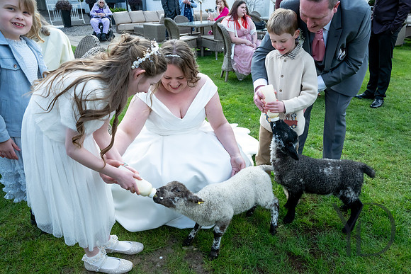 Katherine & Darrens wedding-247