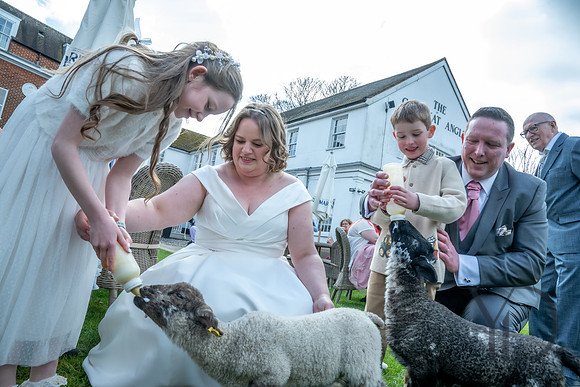 Katherine & Darrens wedding-248
