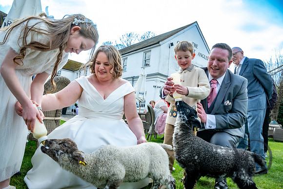 Katherine & Darrens wedding-249