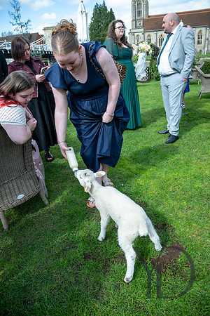 Katherine & Darrens wedding-250