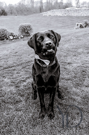 Rona&Alex Notley Tythe Barn wedding-248
