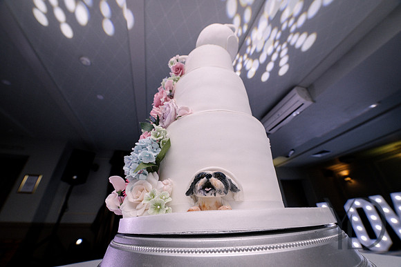 Michelle & Matt's wedding- 620