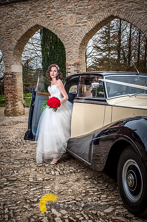 1950's inspired 120