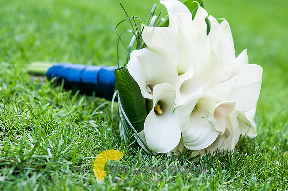 Hellen-Mike-Brockwell-Lido-wedding-0070