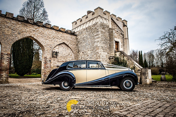 1950's inspired 123
