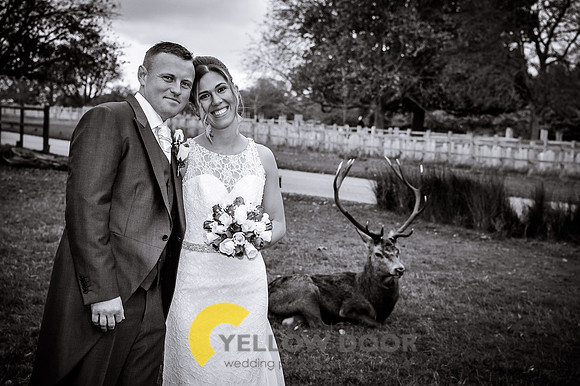 Helen and Andrew 154