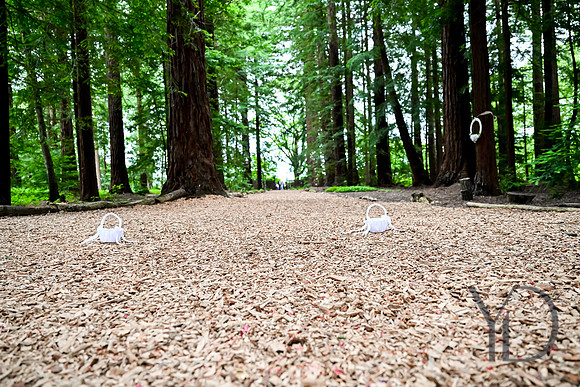 Courtney & Dan Two Woods wedding- 176