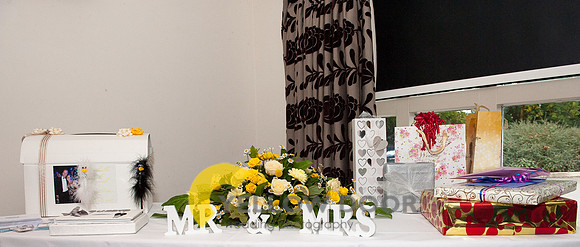 Michelle-David-Lambert-Arms-Wedding-0221