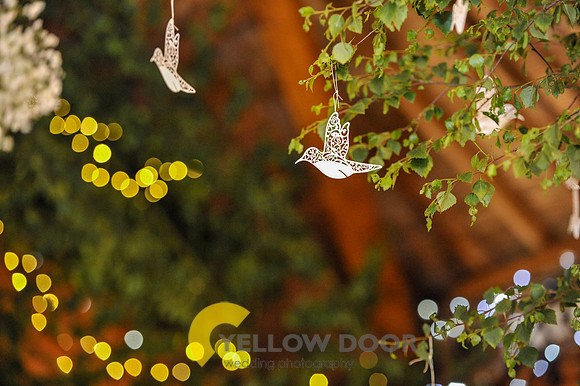 Michaela and Colins Wedding-86