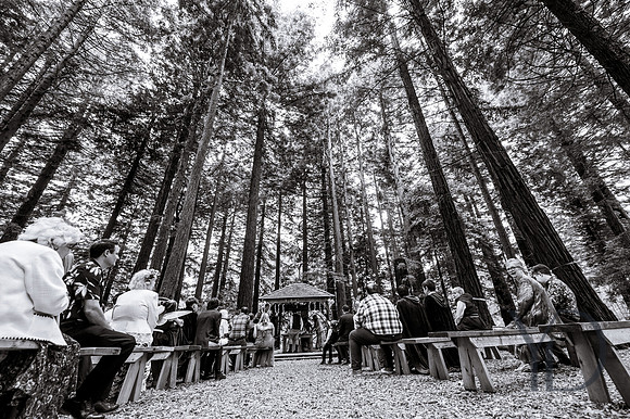 Courtney & Dan Two Woods wedding- 255