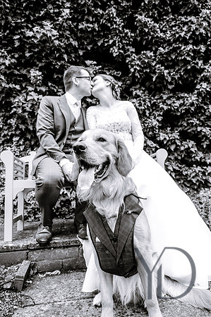 Scarlet & Chris wedding The spread eagle-233