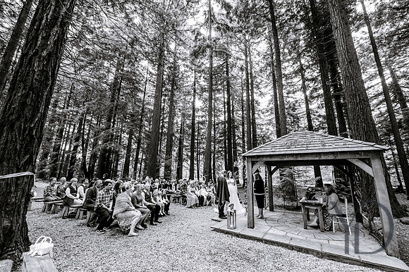 Courtney & Dan Two Woods wedding- 237