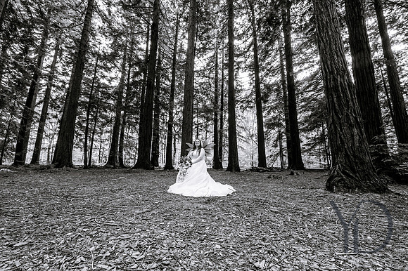 Courtney & Dan Two Woods wedding- 329