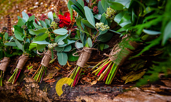 Victoria & Ben's Wedding-0009