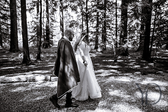 Courtney & Dan Two Woods wedding- 353