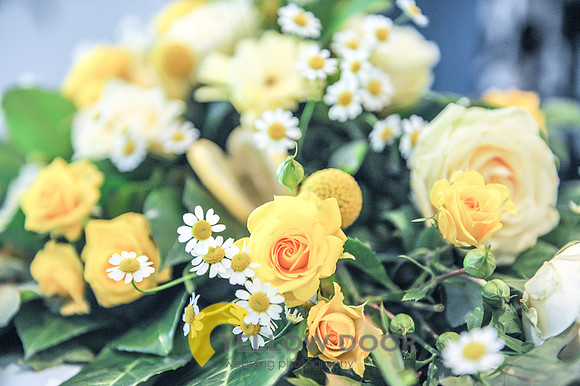 Michelle-David-Lambert-Arms-Wedding-0002