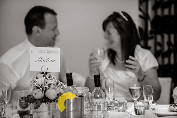 Michelle-David-Lambert-Arms-Wedding-0291