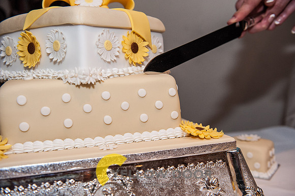 Michelle-David-Lambert-Arms-Wedding-0347