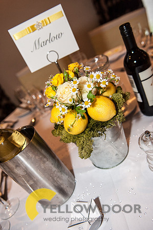 Michelle-David-Lambert-Arms-Wedding-0238