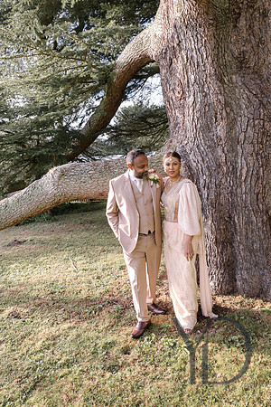 Dona & Wajira's wedding- 309