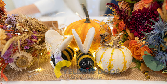 Page & Drews Thame Barns wedding_0345