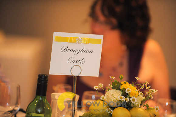 Michelle-David-Lambert-Arms-Wedding-0290