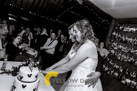 Emma and Olly Notley Tythe Barn_0463