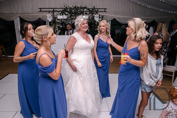 2024-08-23 Lotta & Brian's wedding- 539