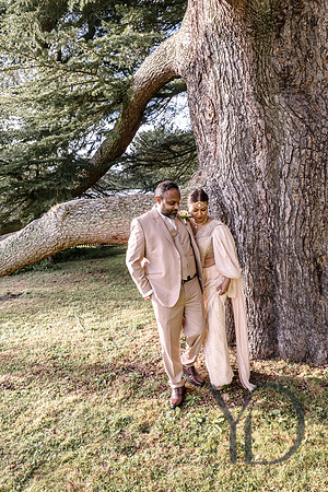 Dona & Wajira's wedding- 308