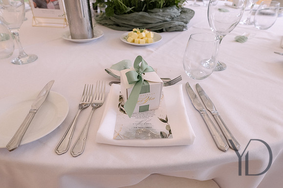 Dona & Wajira's wedding- 216