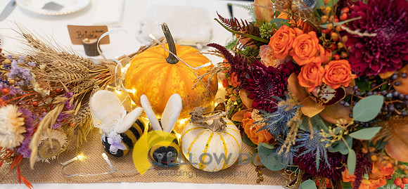 Page & Drews Thame Barns wedding_0346